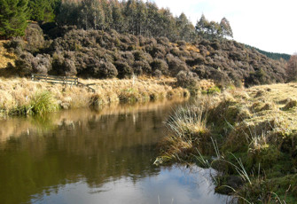 Taharua Stream at Red Hut Mohaka Confl
