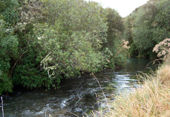 Taharua Stream at Henrys Bridge