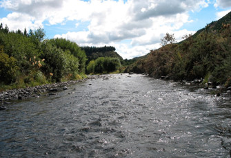 Ripia River U/S Mohaka River confluence