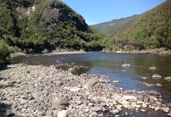 Mohaka River downstream of Taharua River Confluence