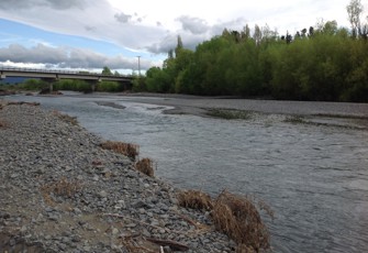 Waipawa River at State Highway 50