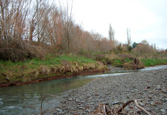 Makaretu Stream at State Highway 50