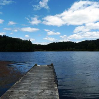 Bay of Plenty region