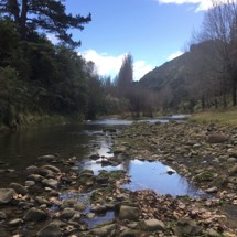 Waikari River