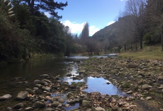 Waikari River at Glenbrook Road