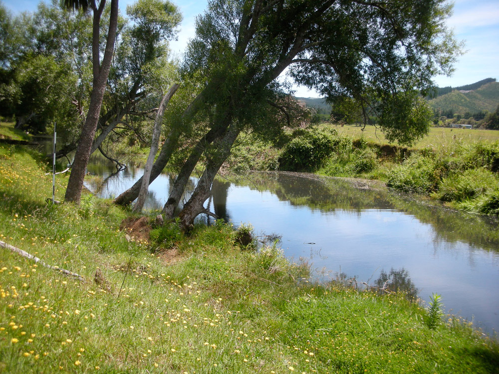 Wharekawa River
