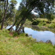 Wharekawa River