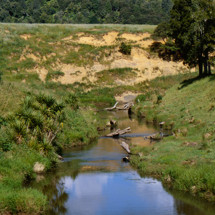 Waingaro River