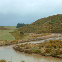 Ohautira Stream