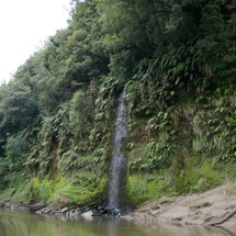 Mokau River