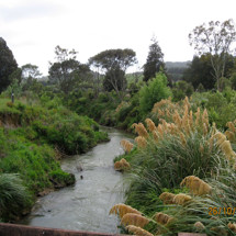 Waitetuna River