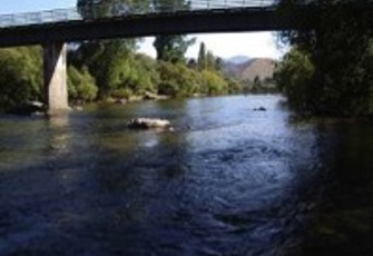 Motueka at Woodstock