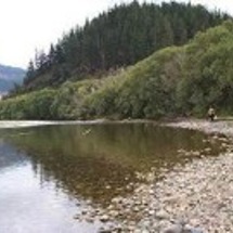 Motueka River