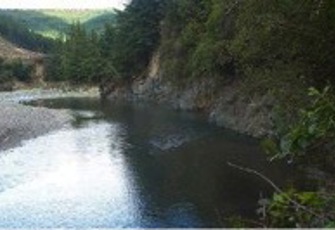 Motueka @ Gorge