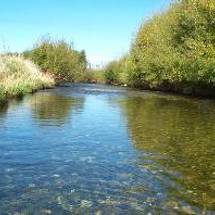 Riuwaka River