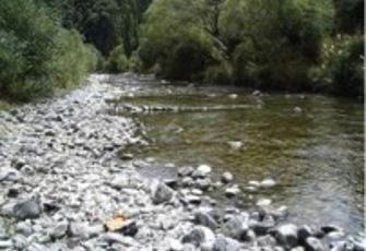 Roding at Twin Bridges 002