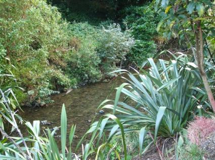 Kaiwharawhara Stream