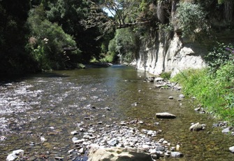 Mokomokonui Stream