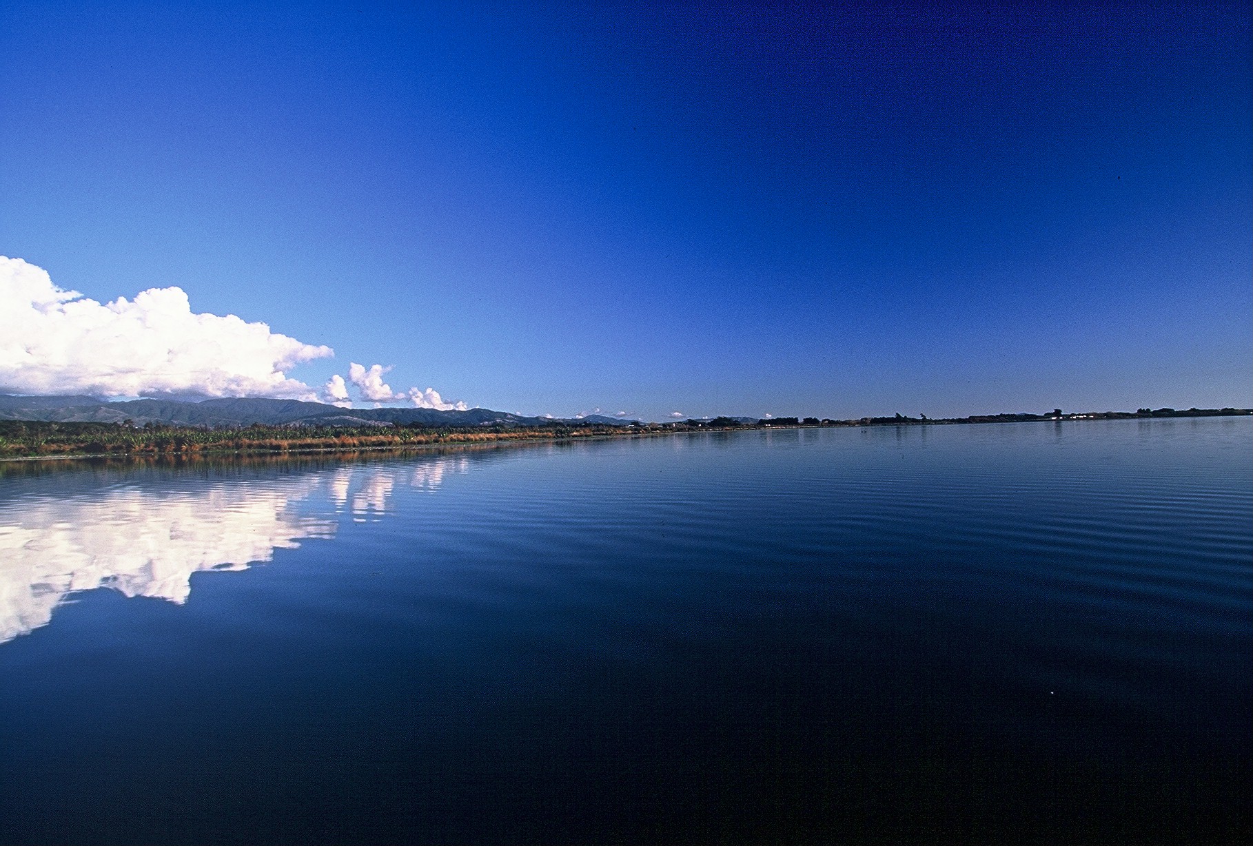 Lake Horowhenua