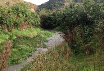 Waingongoro stream at Waimarama Road