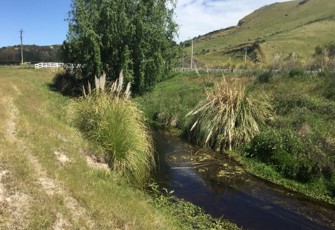 Poukawa Stream at Stock Road