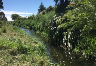Karewarewa Stream at Paki Paki
