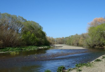 Mangaonuku Stream upstream of Waipawa at Tikokino Road