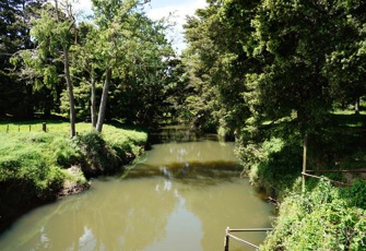 Mangere Stream