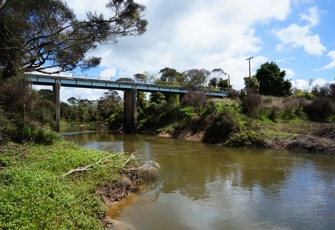 Manganui River