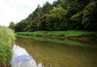 Mangakahia River
