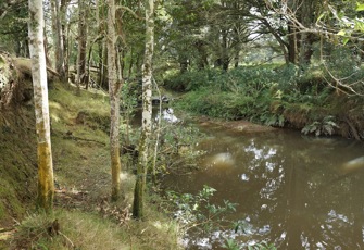 Mangahahuru Stream