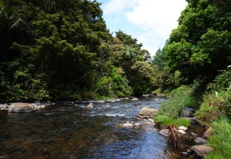 Kaihu River