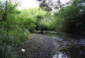 Ruakaka River