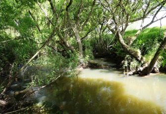 Utakura River at Horeke Road