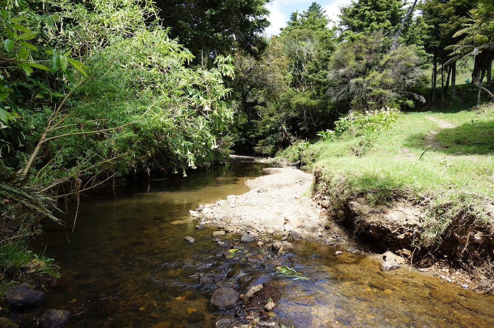 Waiarohia Stream