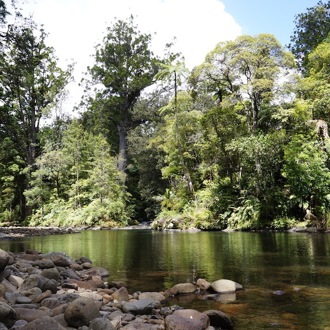 Northland region