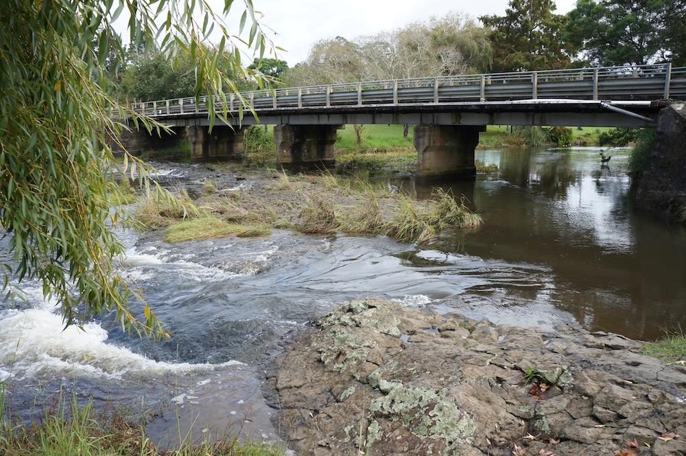 Waipapa Stream