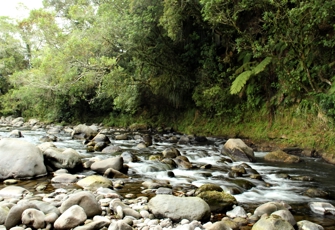 Maketawa Stream at Tarata Road