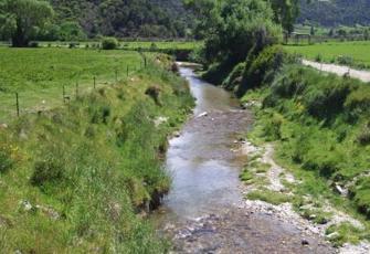 Cullen Creek at Road Bridge