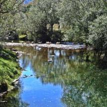 Kaituna River