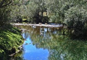 Kaituna River at Higgins Bridge