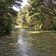 Kenepuru River