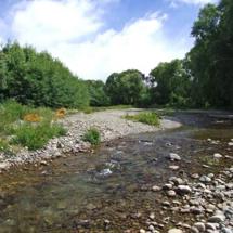Omaka River