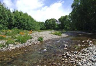Omaka River at Hawkesbury Road Bridge