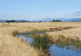 Opawa River at Hammerichs Road