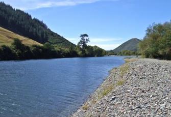 Pelorus River at Fishermans Flat