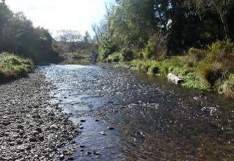 Ronga River at Upstream Rai River