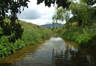 Are Are Creek at Kaituna Tuamarina Track