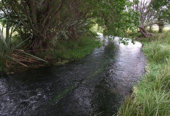 Mill Creek at Ormonds