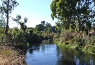 Spring Creek at Wairau River Floodgates